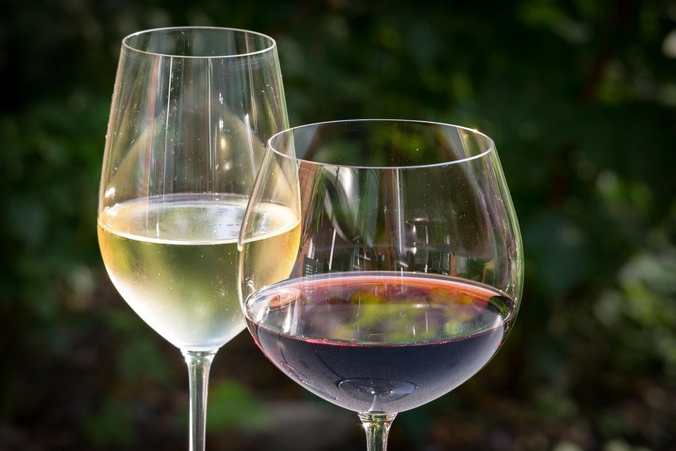 Great value wines for red and white wine lovers