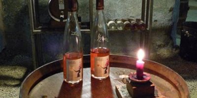 Wine Tasting Montsoreau